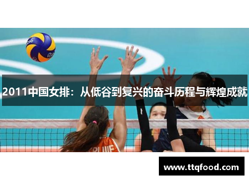 2011中国女排：从低谷到复兴的奋斗历程与辉煌成就