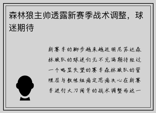 森林狼主帅透露新赛季战术调整，球迷期待
